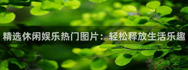 卧龙娱乐登录入口