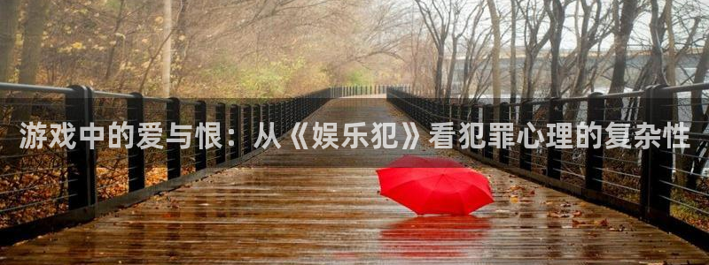卧龙娱乐