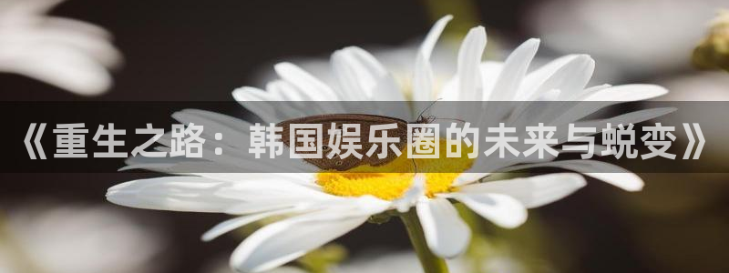 卧龙娱乐怎么样
