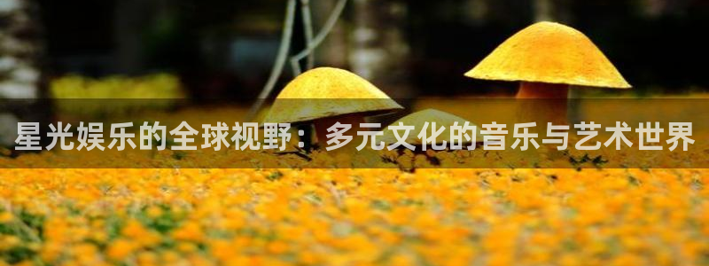 卧龙娱乐