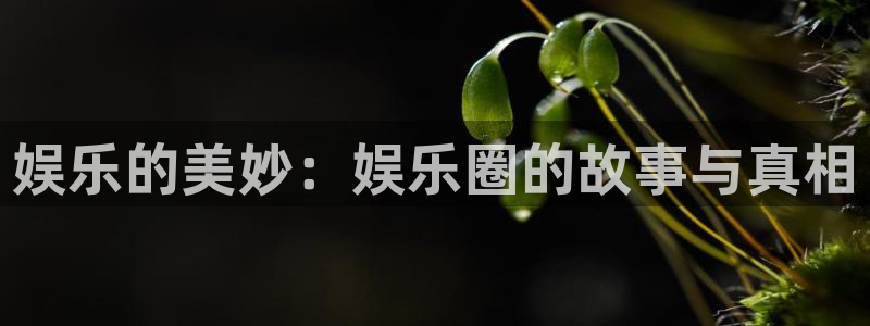 卧龙娱乐