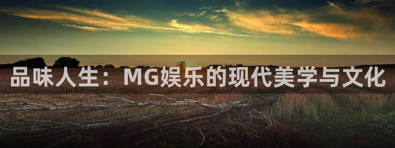 卧龙娱乐