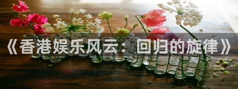 卧龙娱乐登录入口