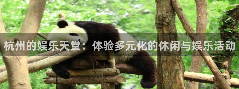 卧龙娱乐
