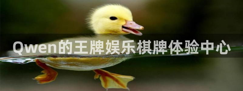 卧龙娱乐