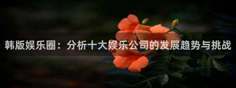卧龙娱乐怎么样